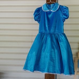 Disney Alice in Wonderland costume